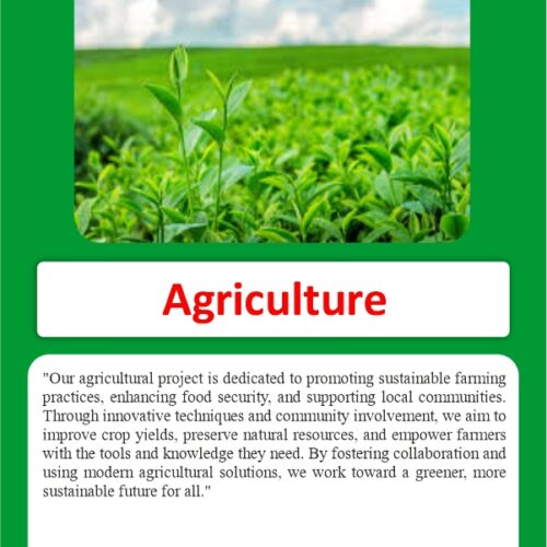 Donate to Support Agriculture: Nourish Communities, Grow the Future