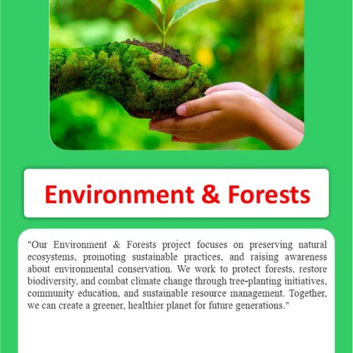 Donate for Environment & Forests – Protect Nature, Secure the Future